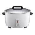 Panasonic SR-GA421 220 Volt Rice Cooker      220-240 VOLTS NOT FOR USA