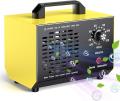 Kasakily Ã¢â‚¬Å½Ã¢â‚¬Å½HS01-A 10000 mg/h Ozone Air Purifier With Ozone Generator 220Volts NOT FOR USA