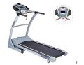 Multistar MS1311F1 Treadmills For 220/240 Volts
